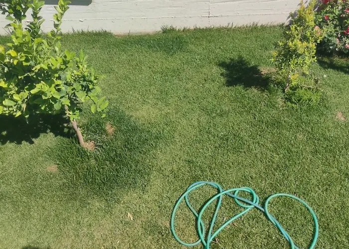 Alba De Mar Alojamento de Acomodação e Pequeno-almoço Roseto Capo Spulico